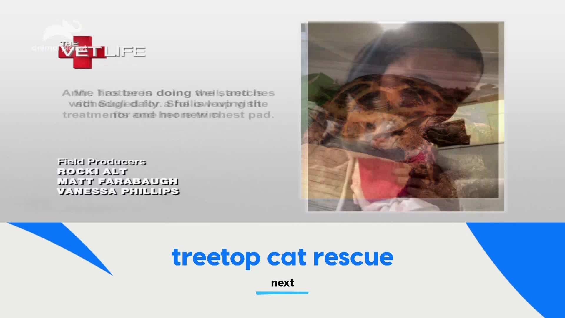 AnimalPlanet