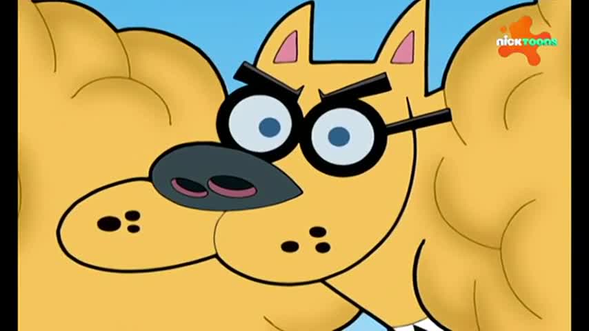 CCExtra