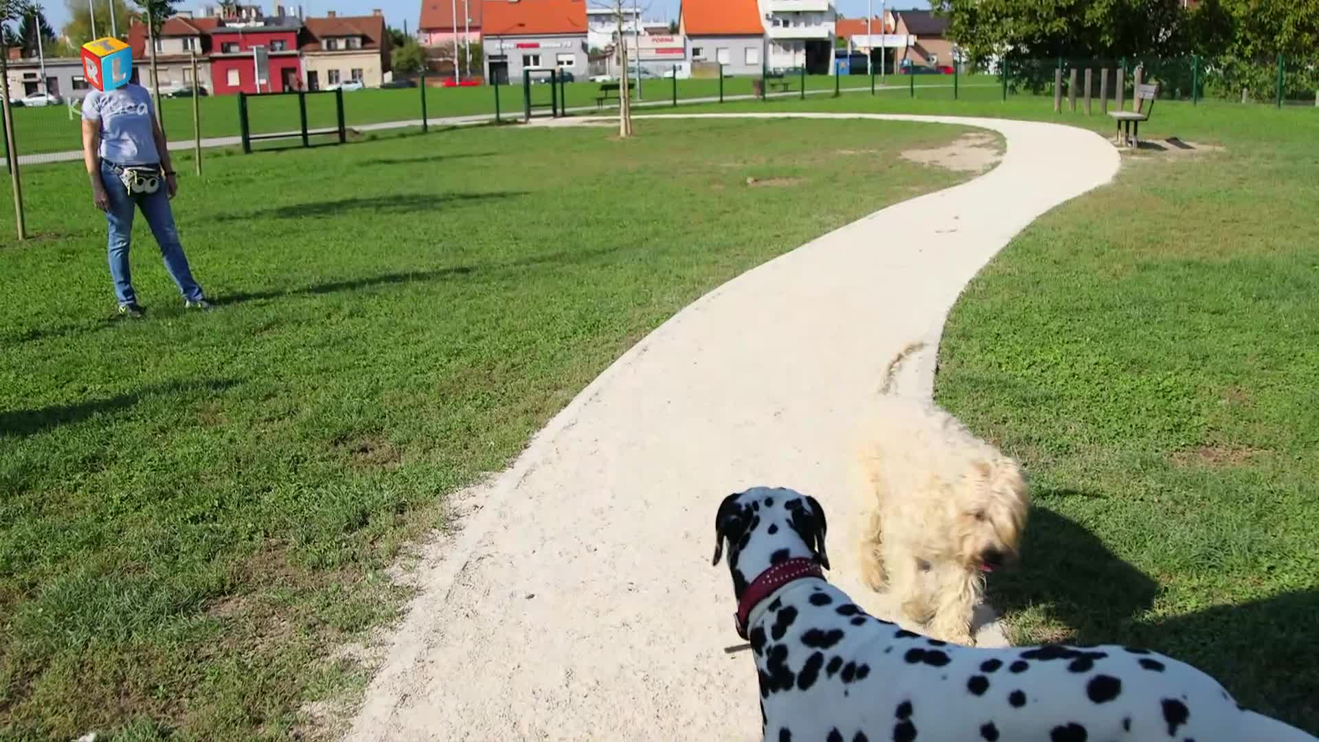 RTLKockica