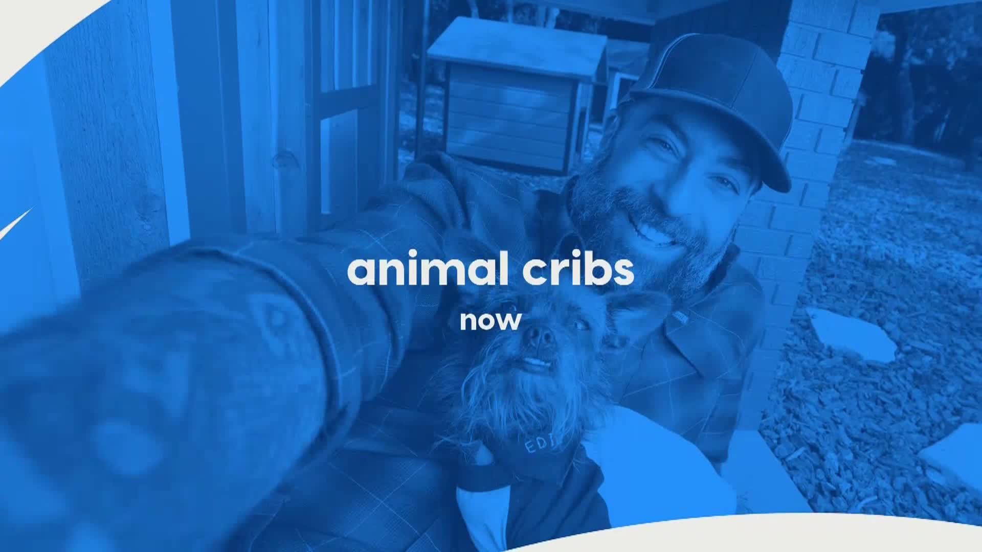 AnimalPlanet