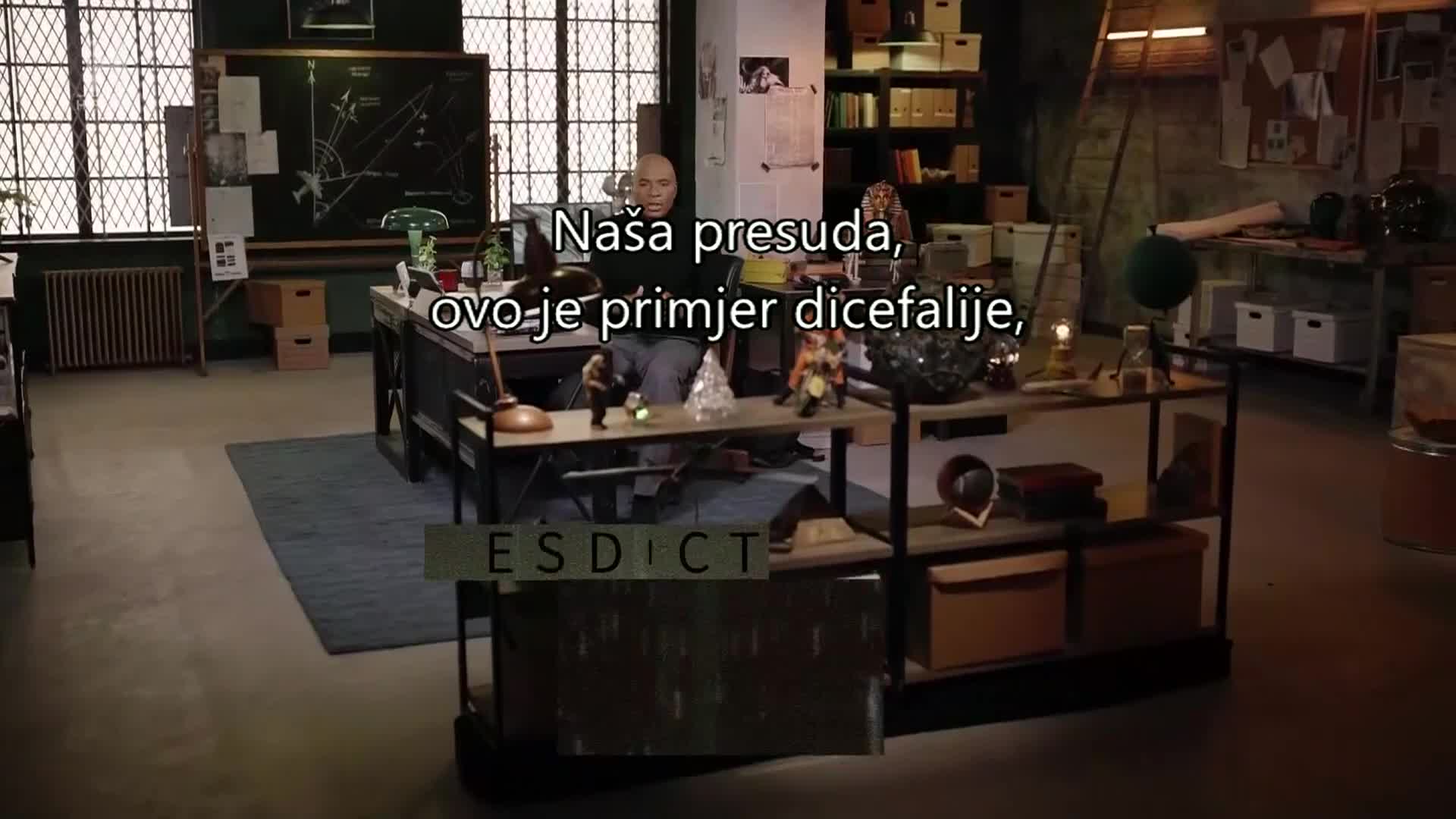 History