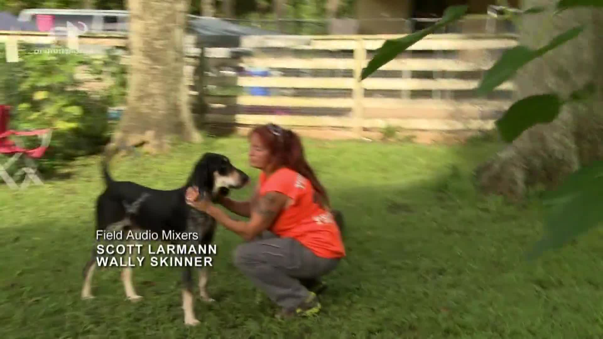 AnimalPlanet