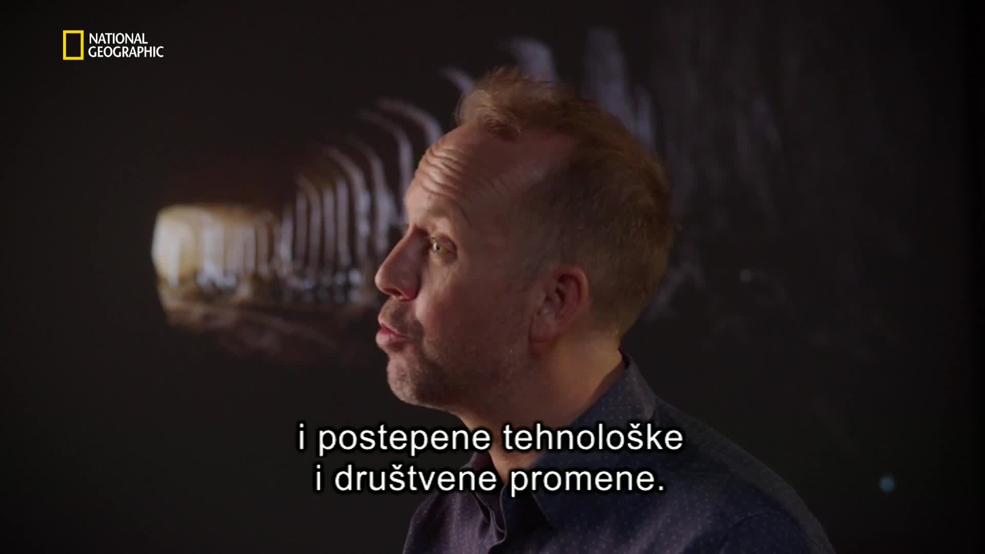 Premium10