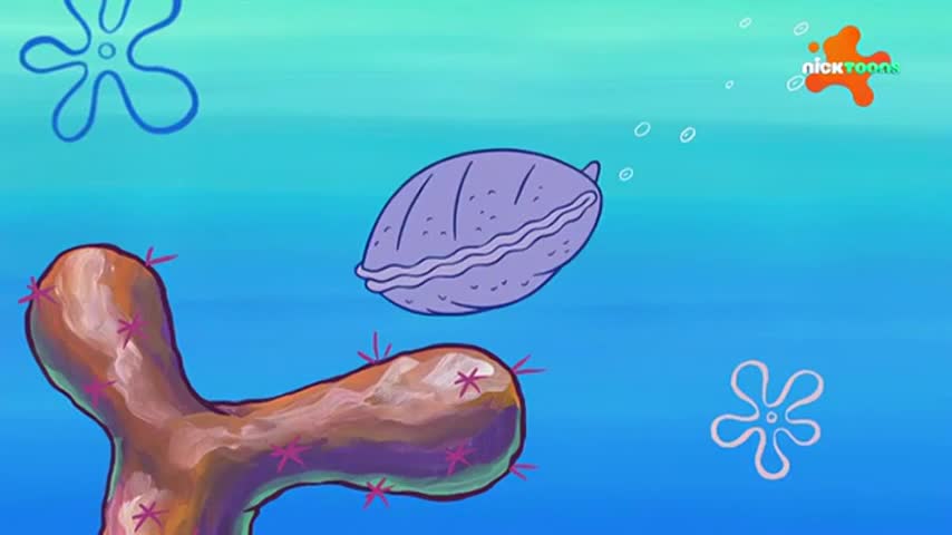 CCExtra