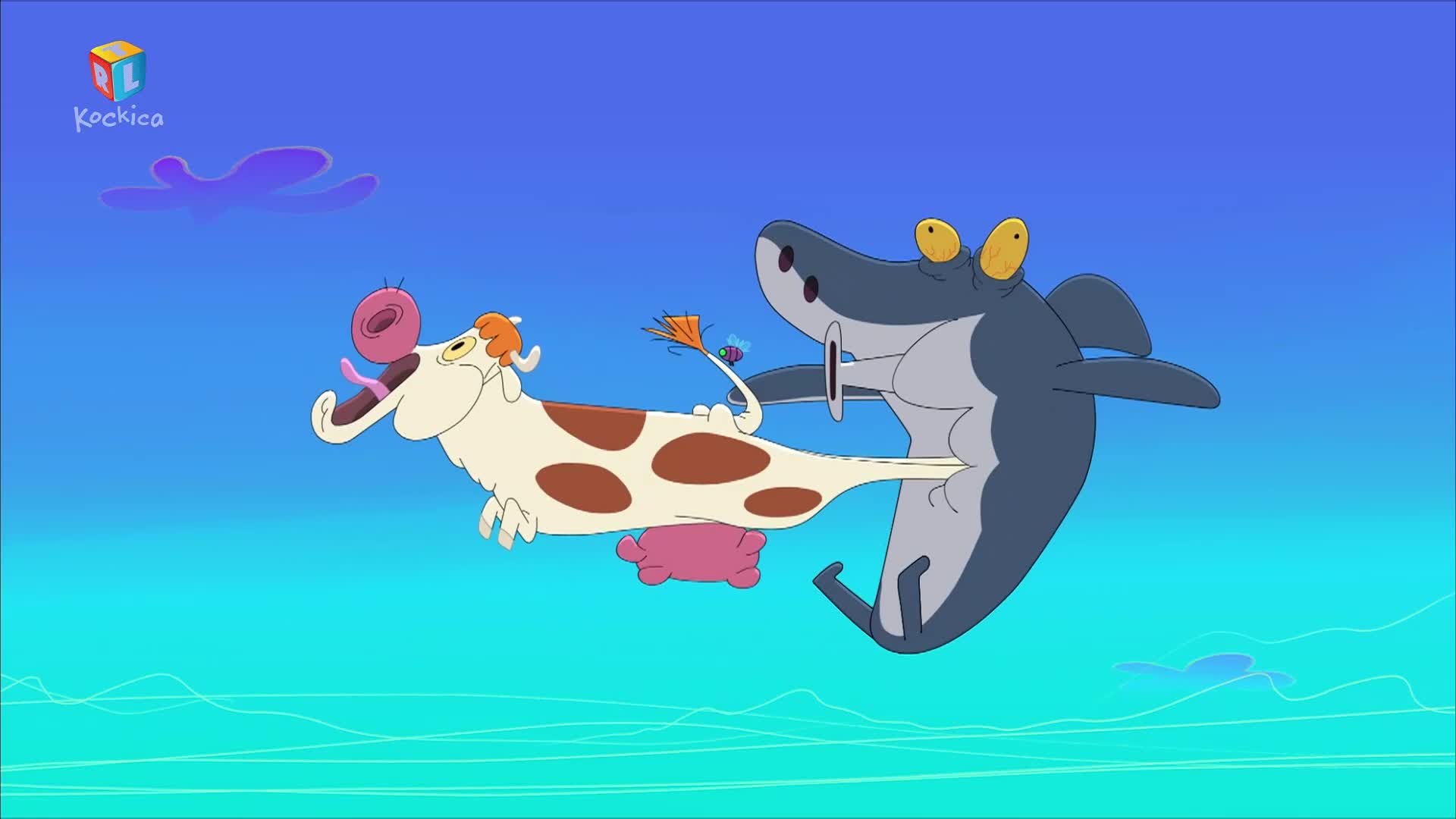 RTLKockica
