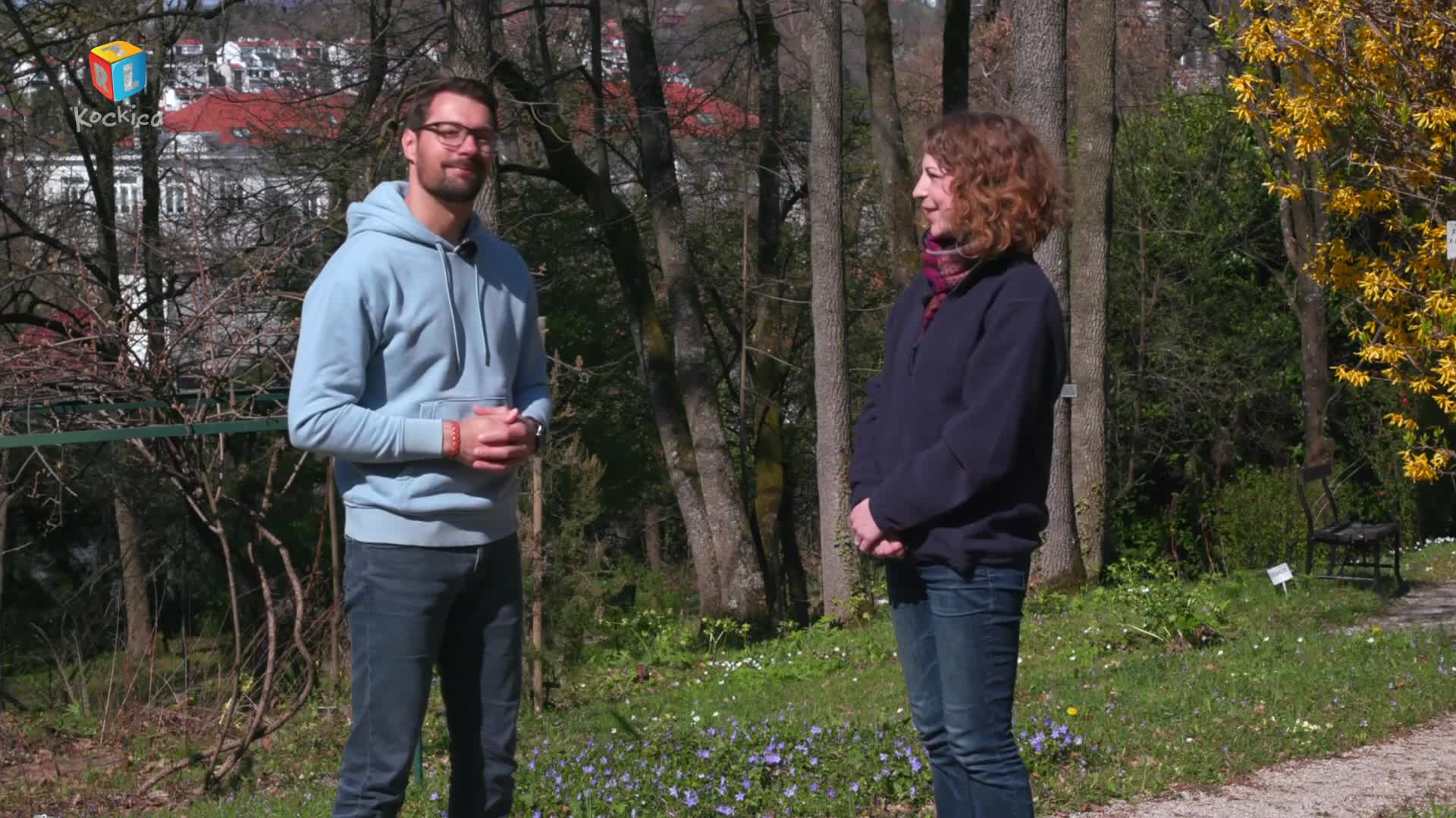 RTLKockica
