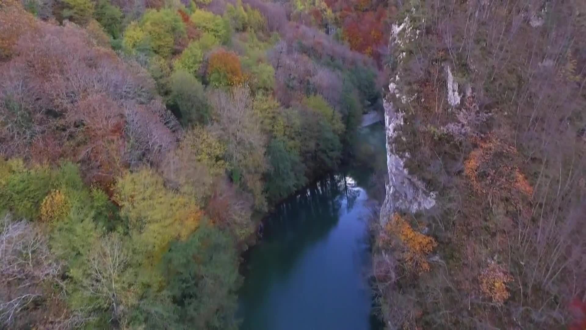 DokuTV