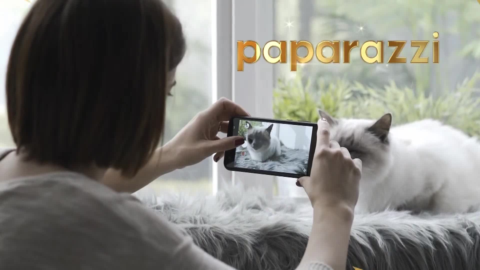 AnimalPlanet