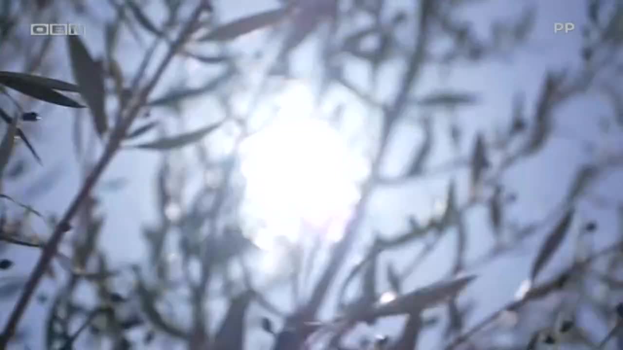 obn