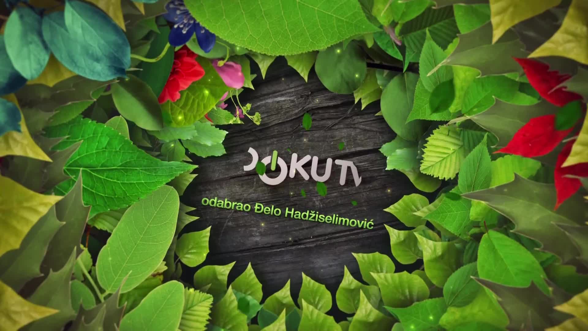 DokuTV
