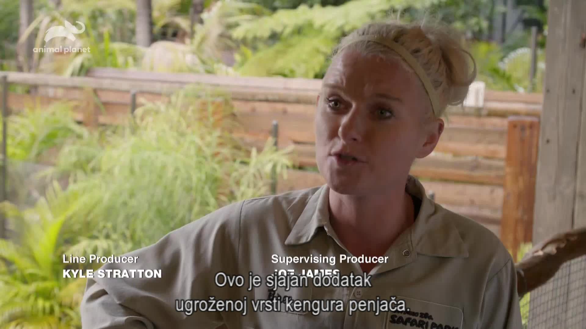 AnimalPlanet