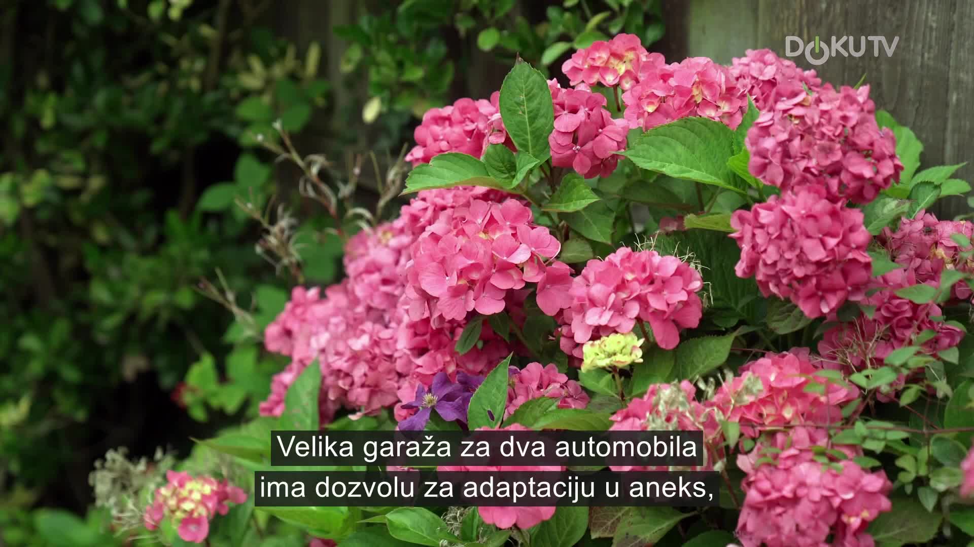 DokuTV
