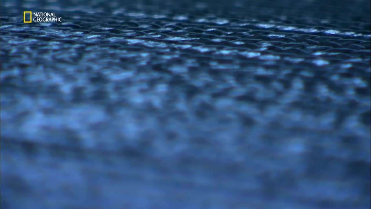 Premium10
