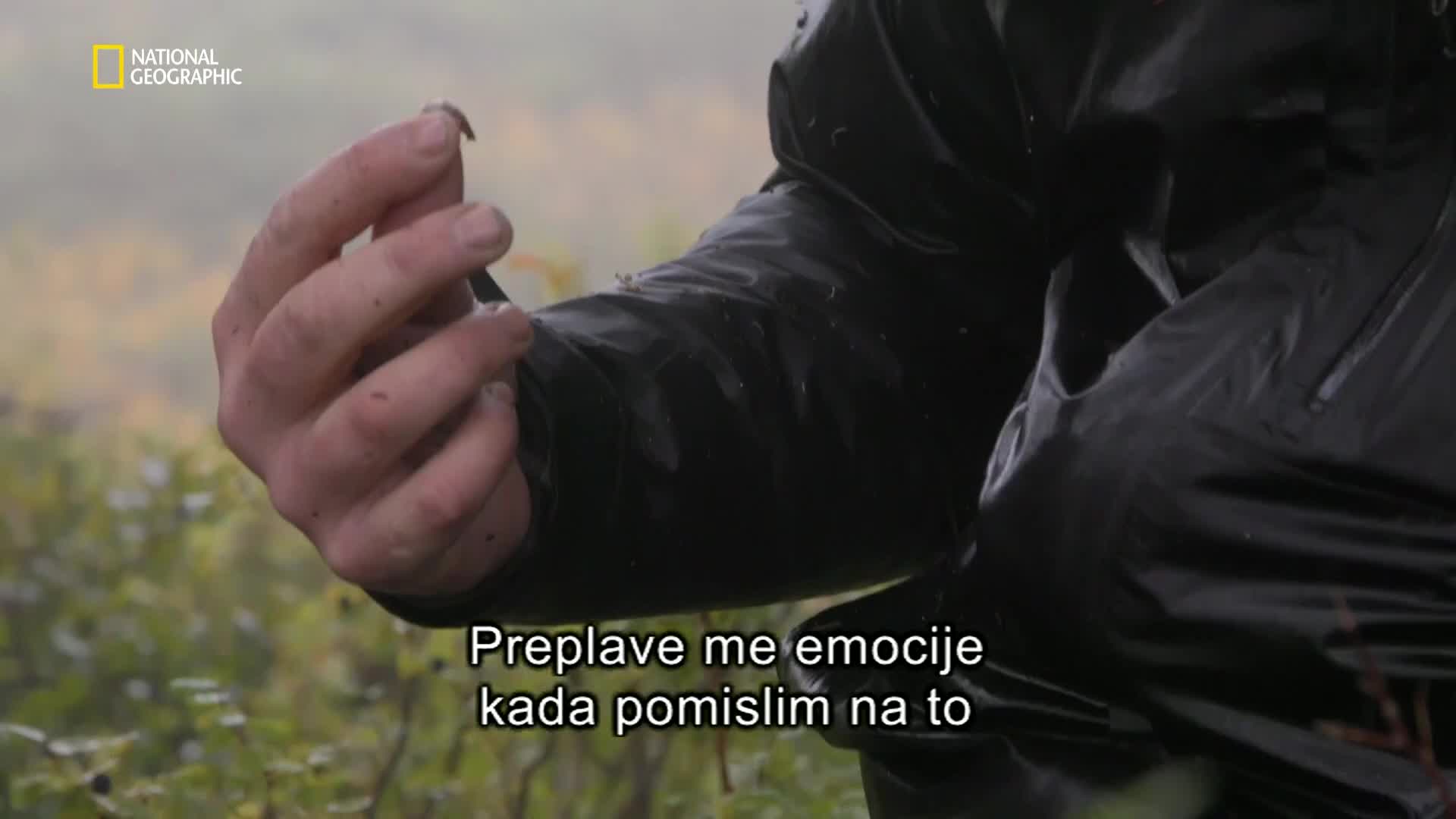 Premium10