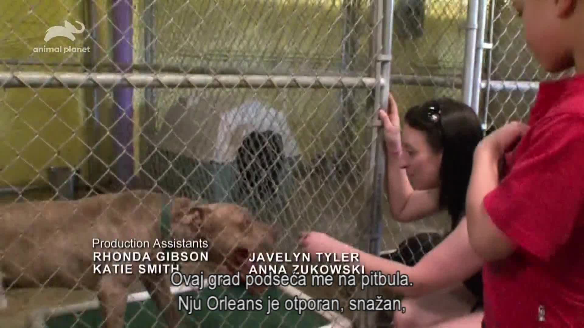AnimalPlanet