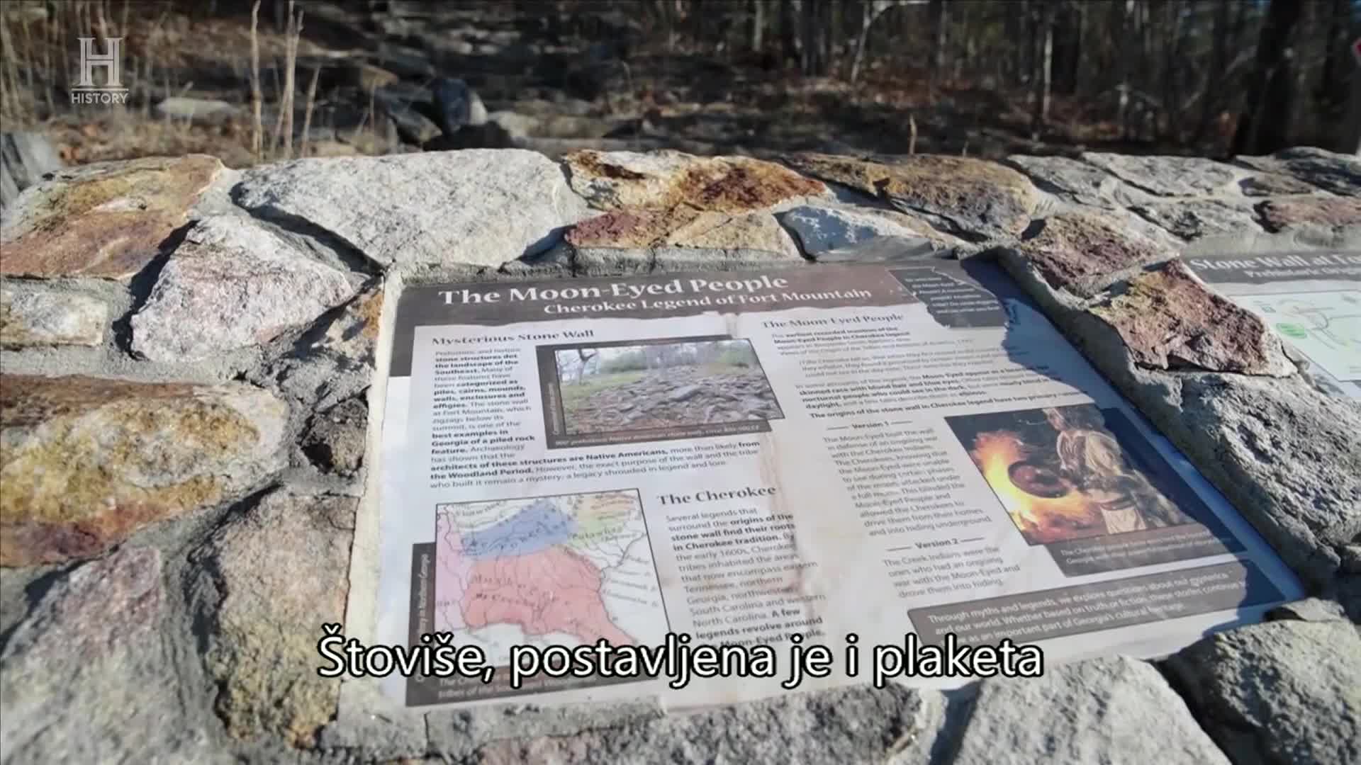 History