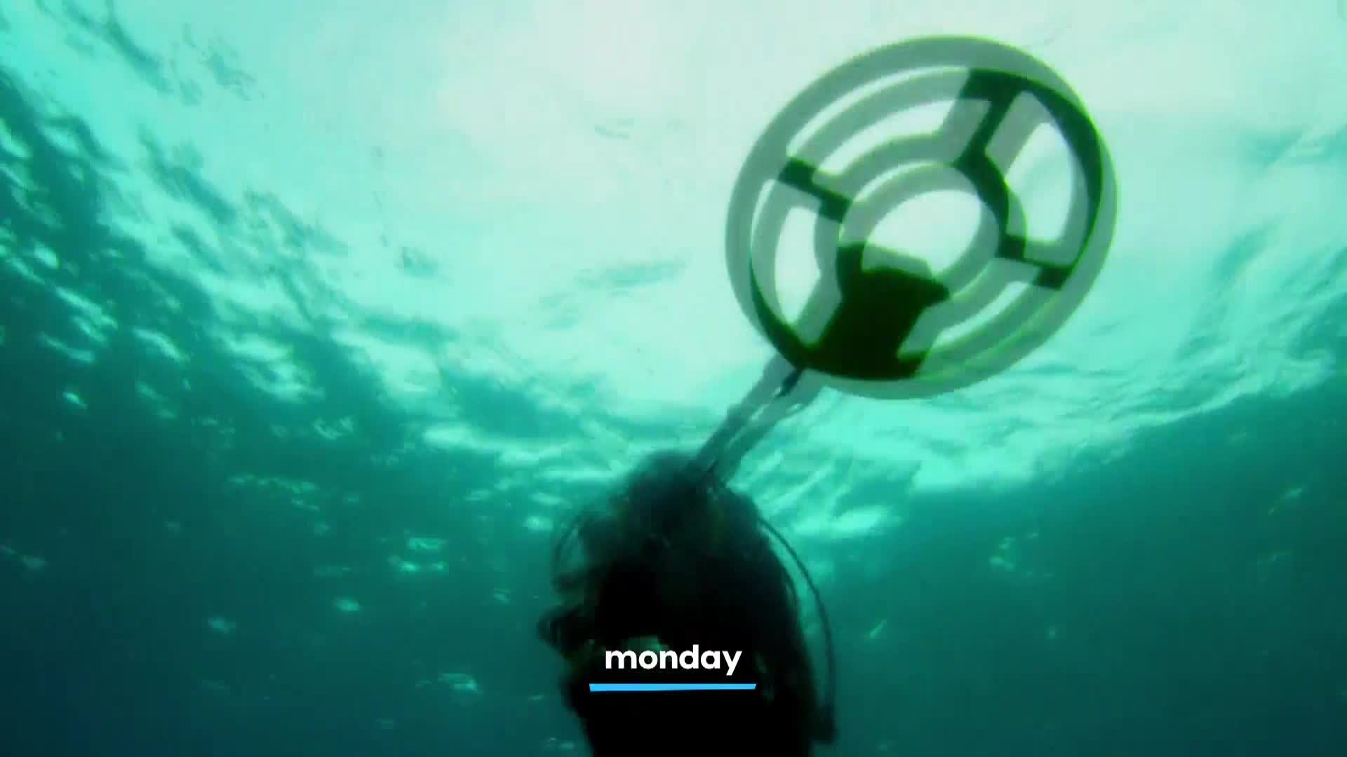AnimalPlanet