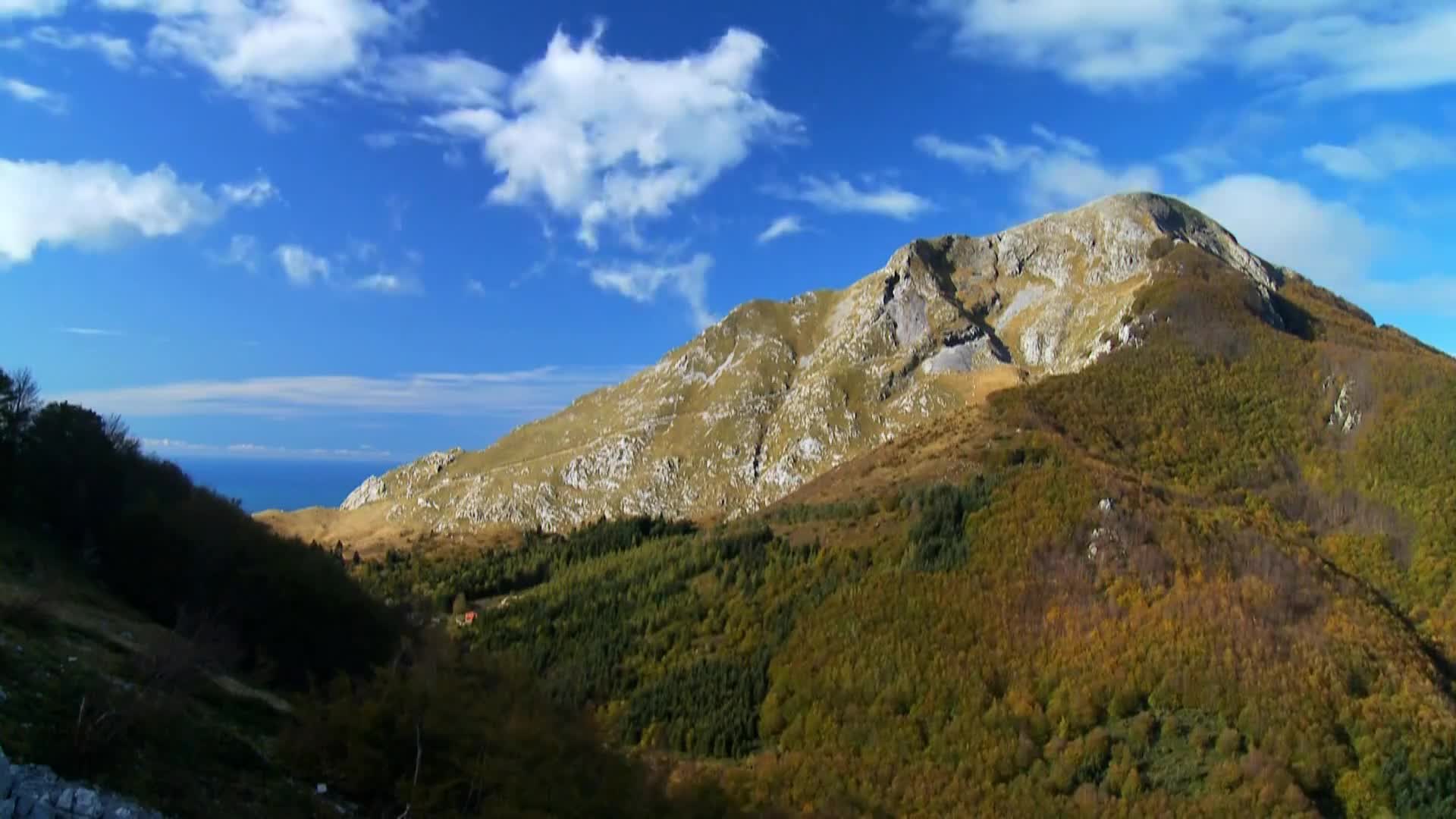 DokuTV