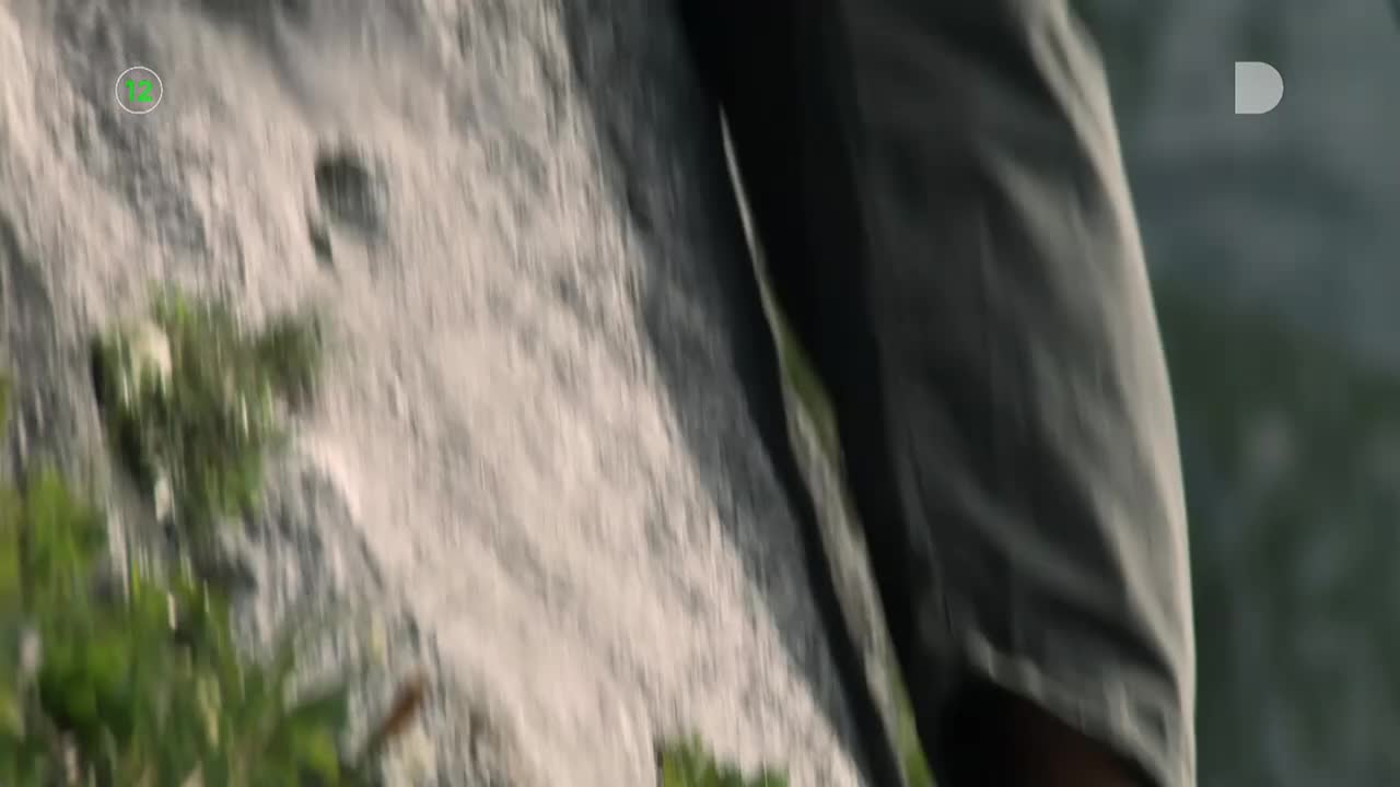 DomaTV