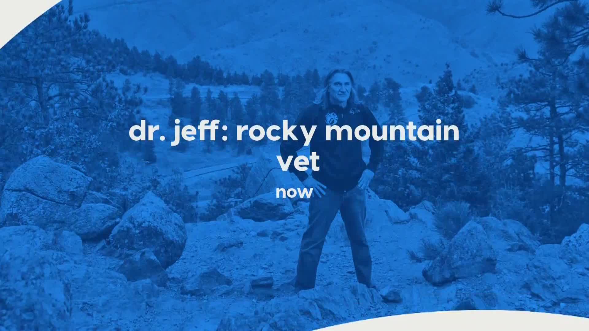 AnimalPlanet