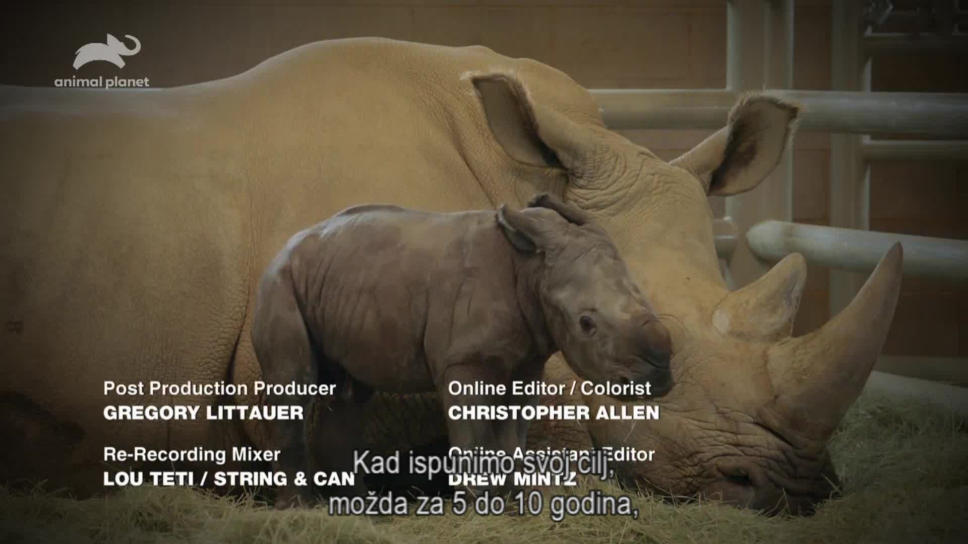 AnimalPlanet