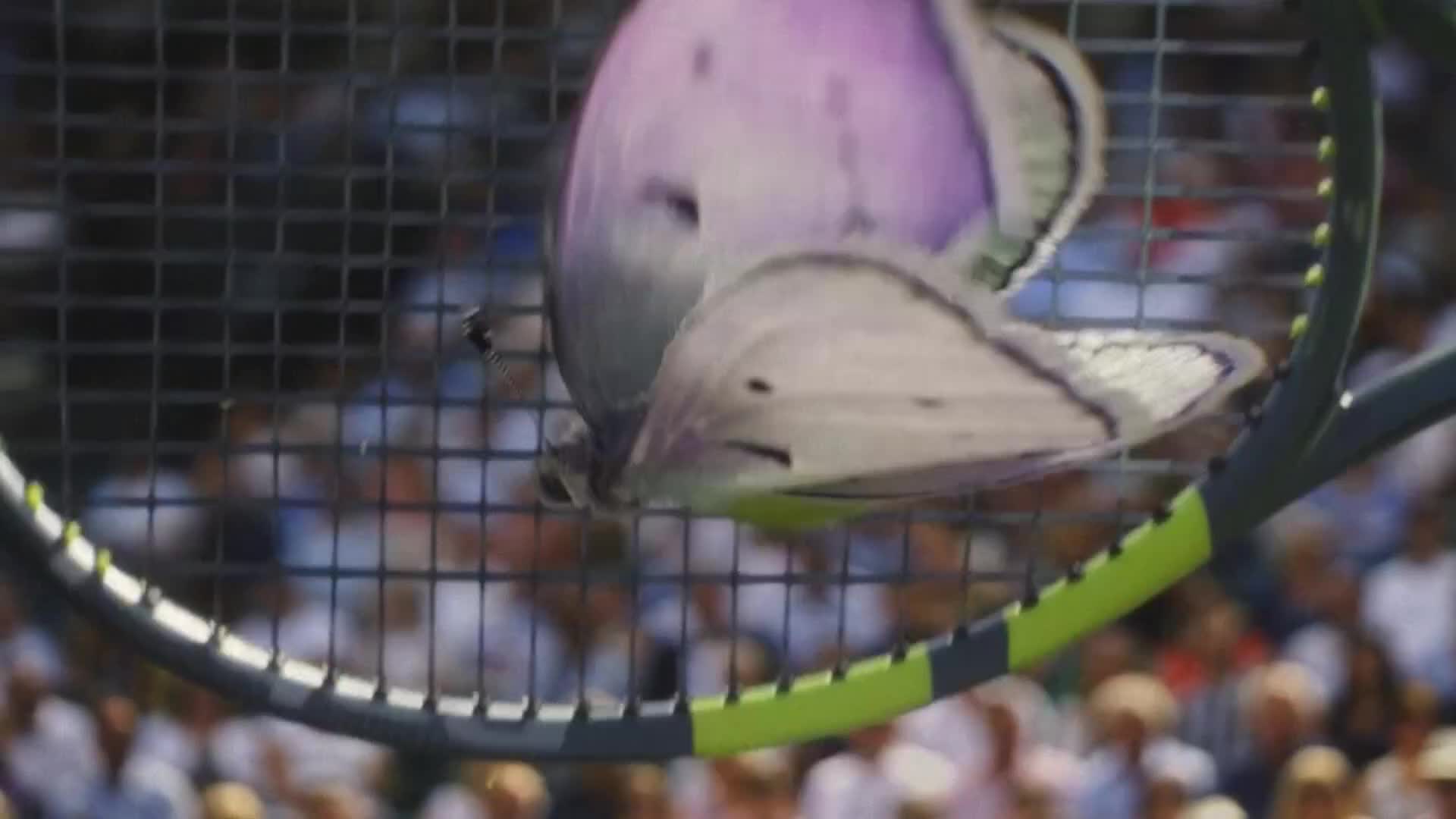 Arena3FullHD
