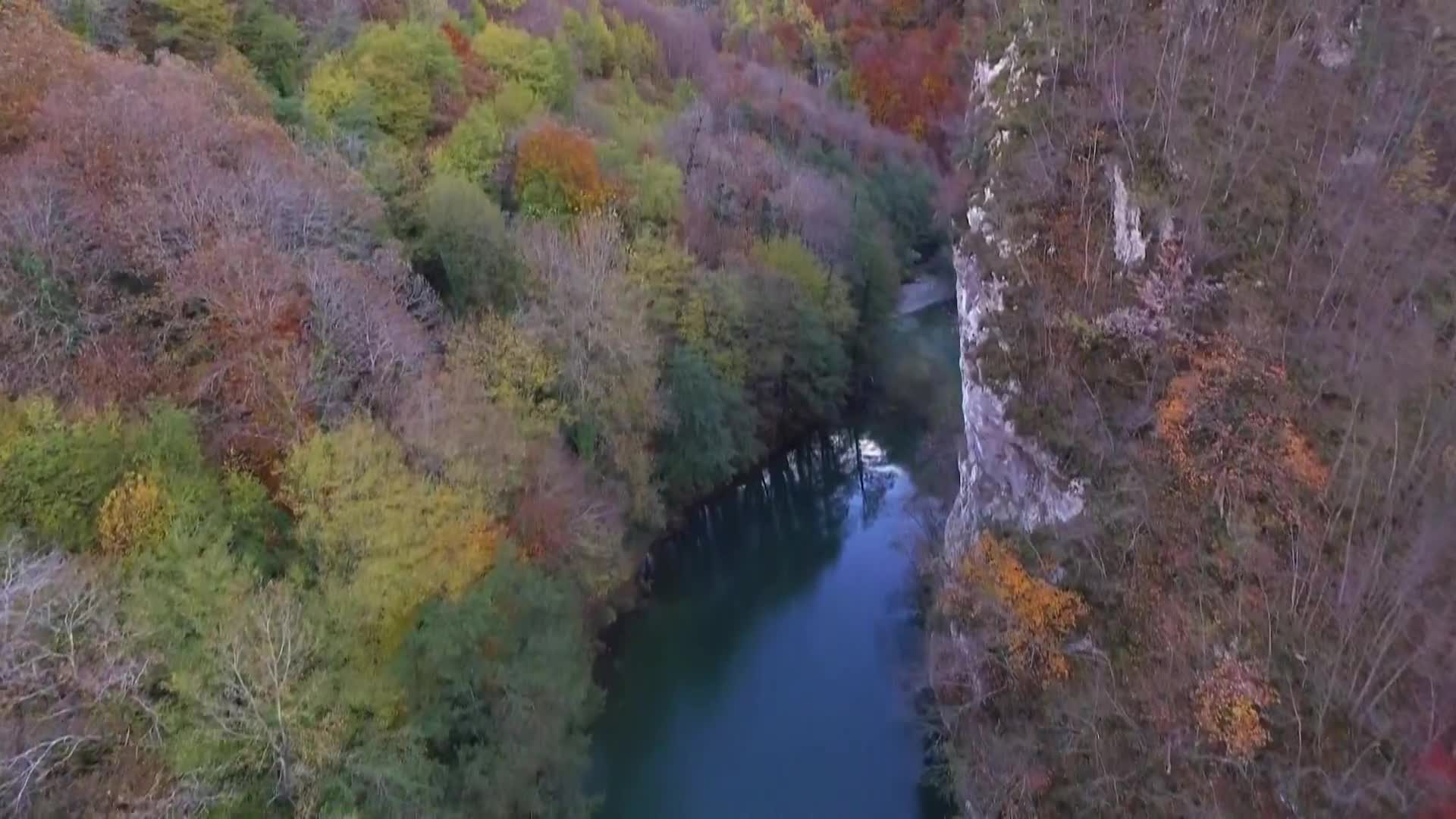 DokuTV