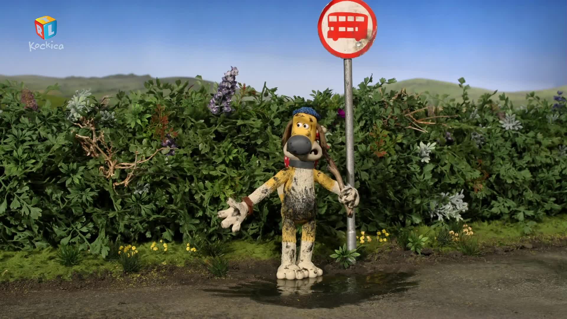 RTLKockica