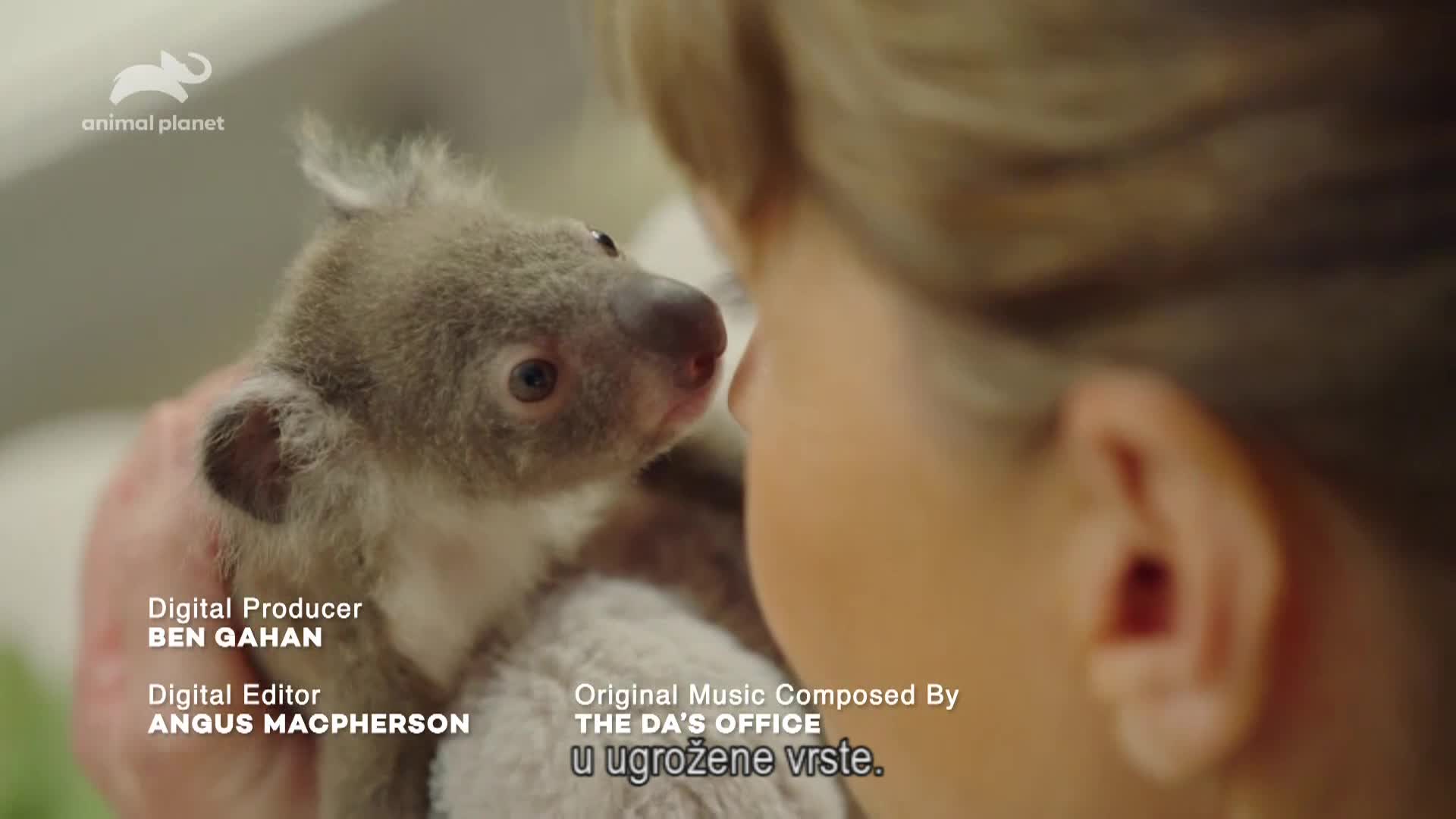 AnimalPlanet