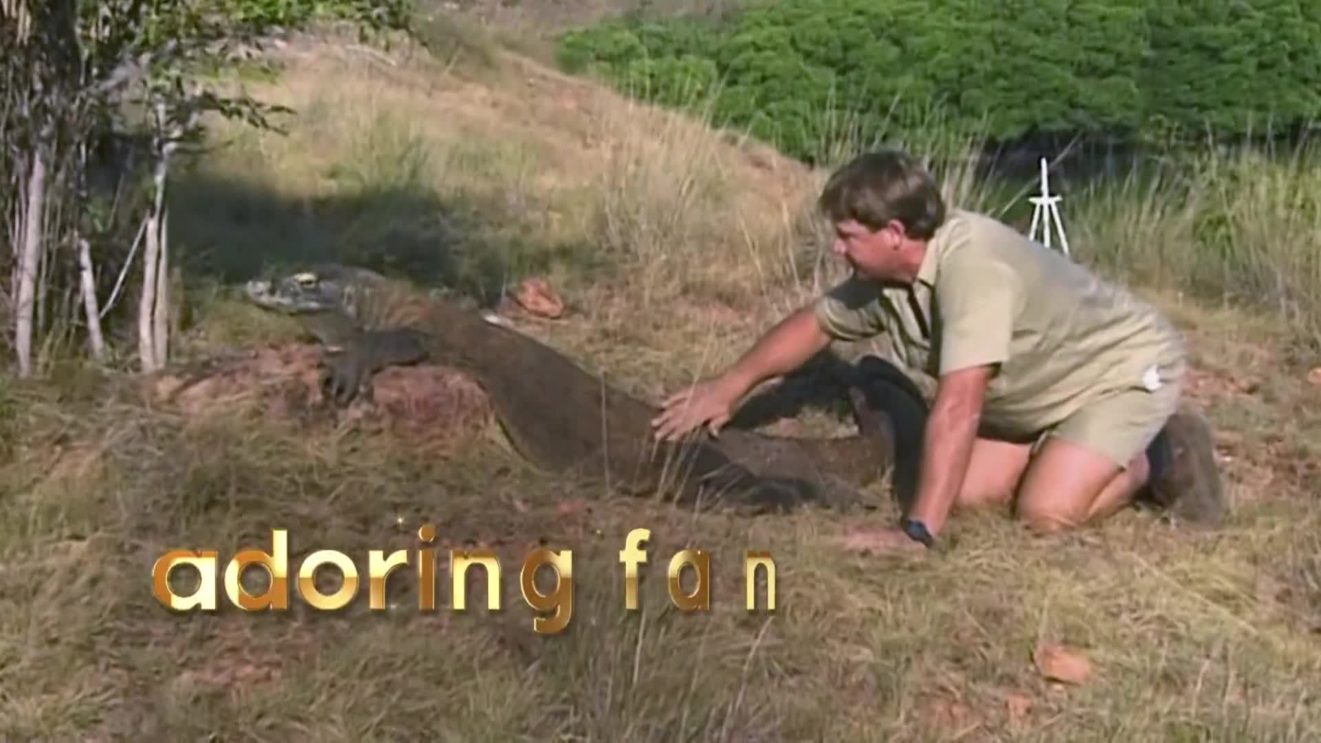 AnimalPlanet
