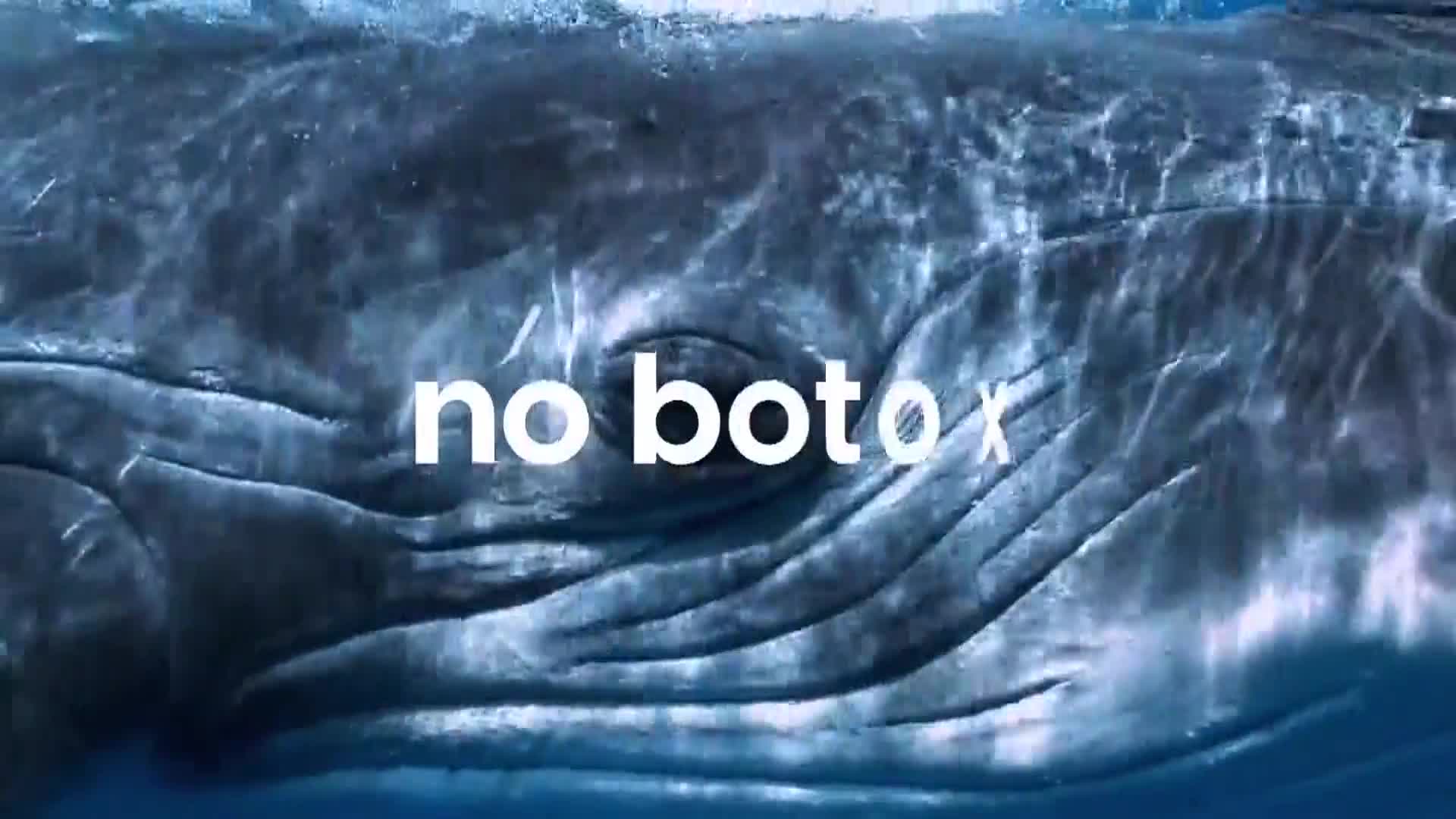 AnimalPlanet