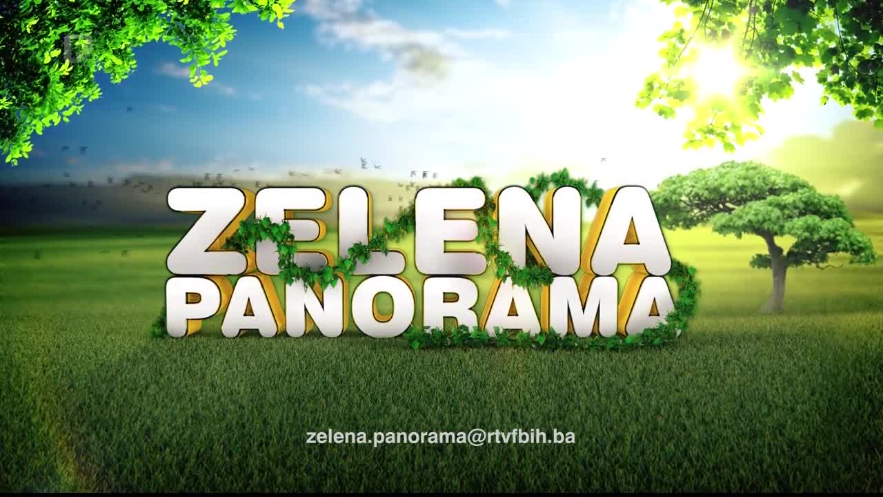 FTV