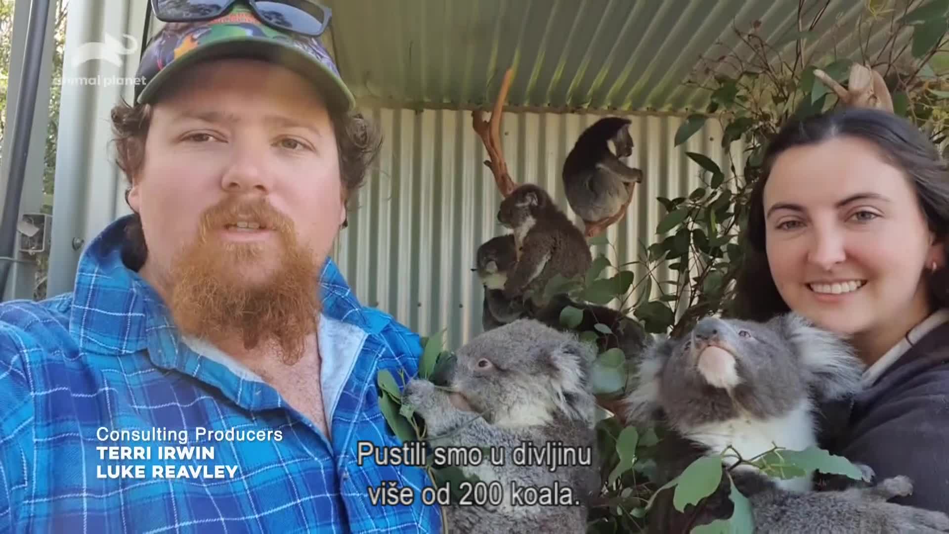 AnimalPlanet