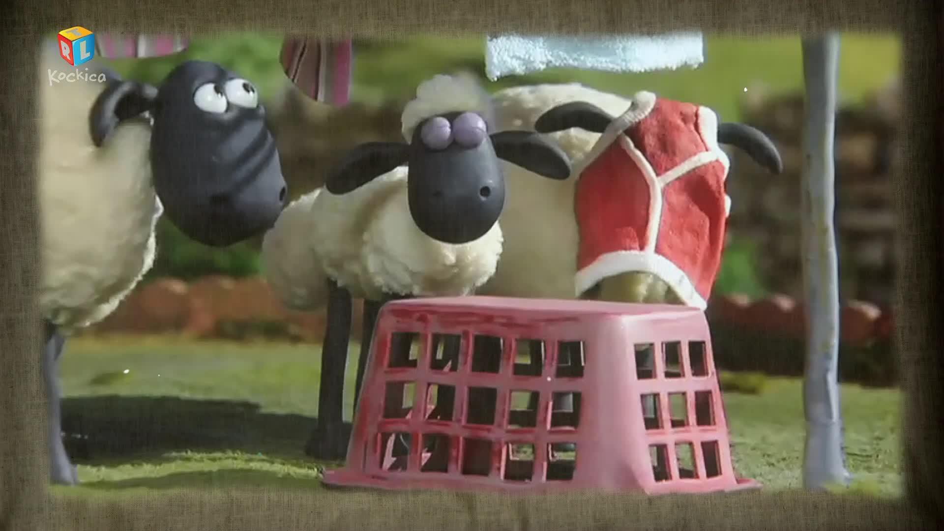 RTLKockica