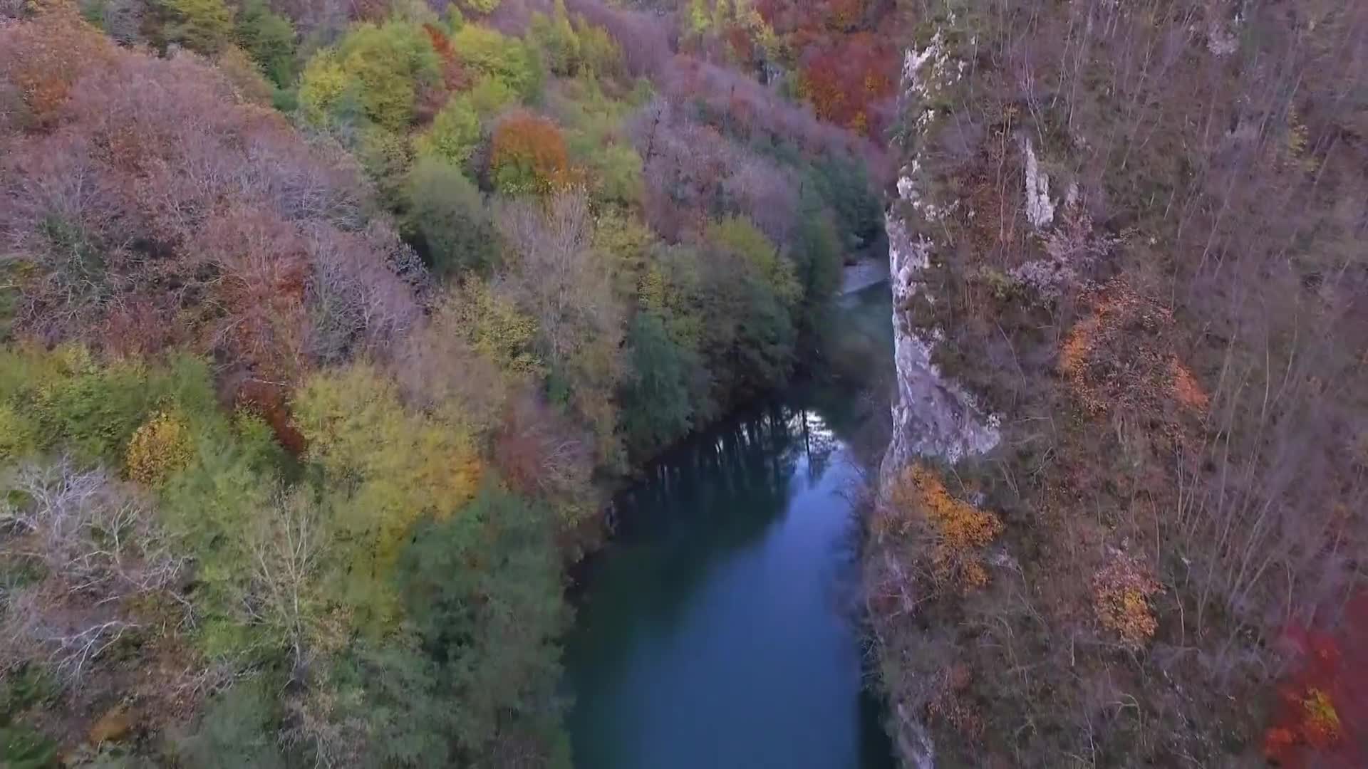 DokuTV