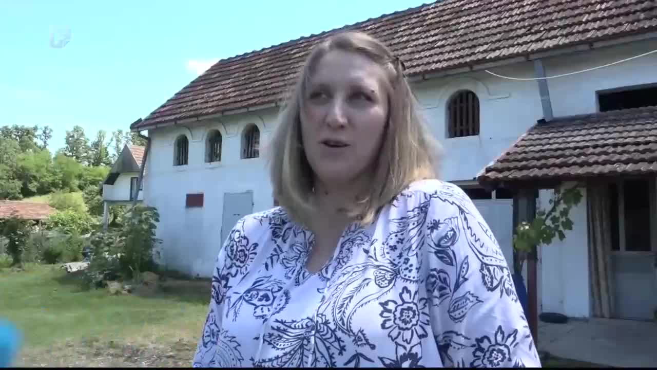 FTV