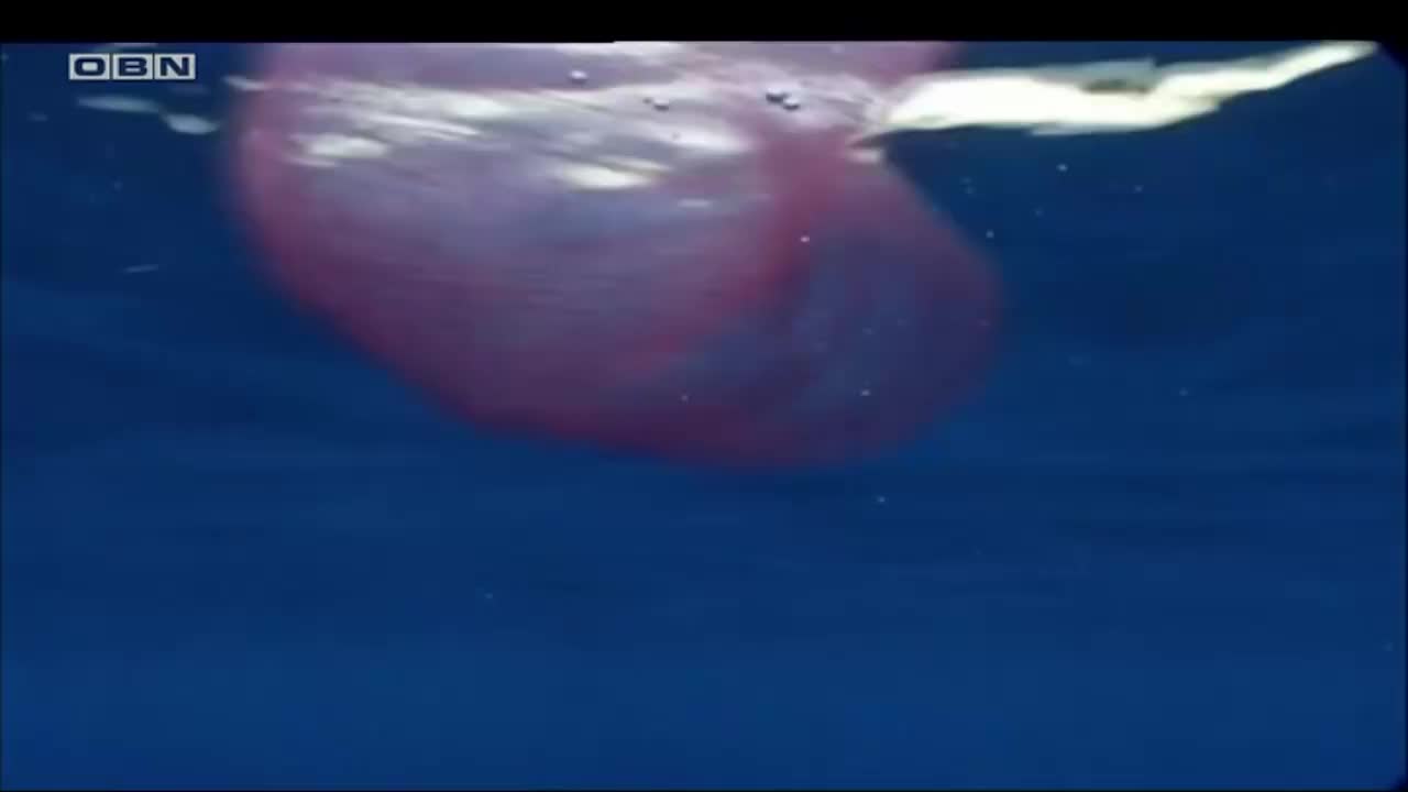 obn