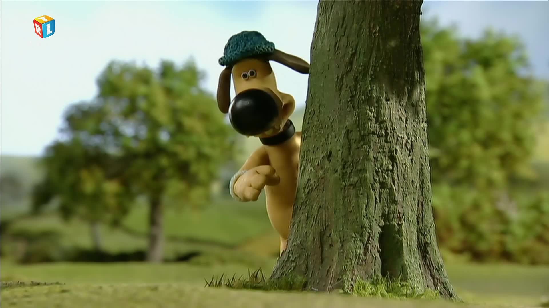RTLKockica