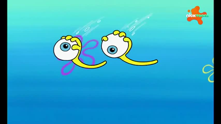CCExtra