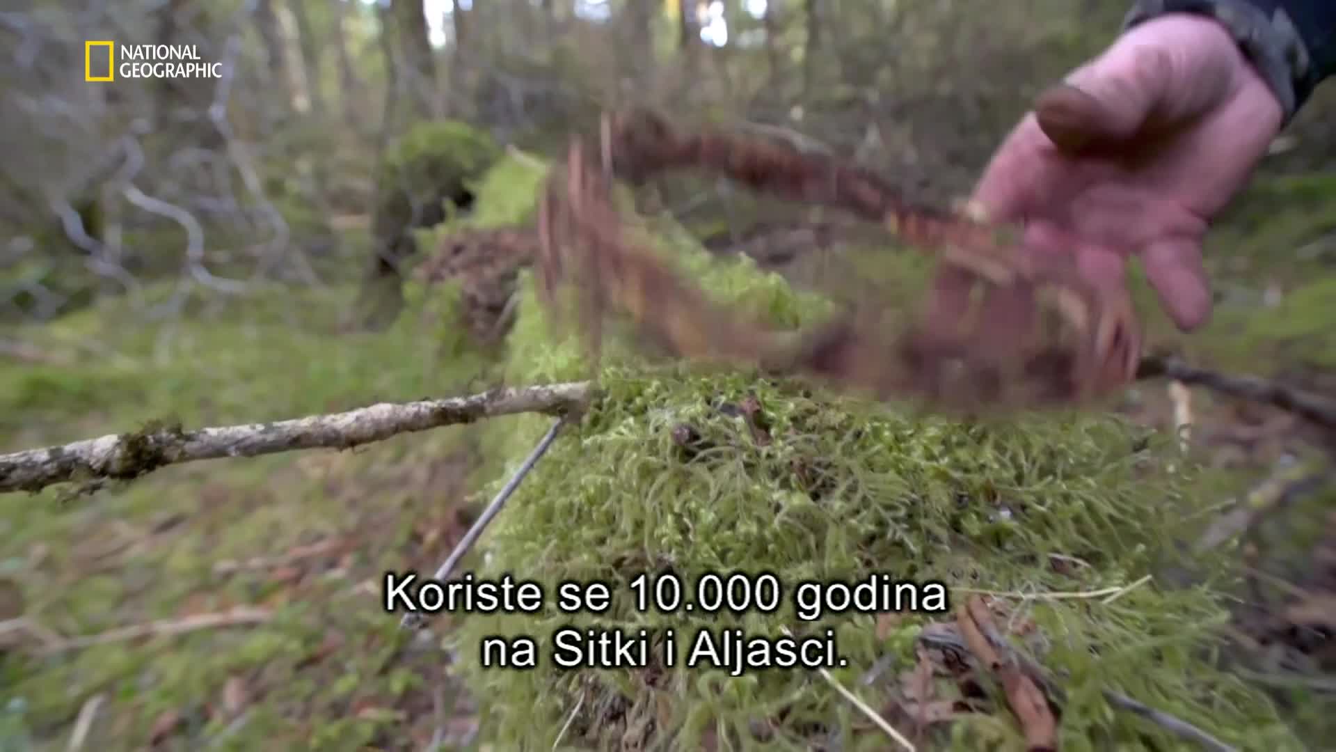 Premium10
