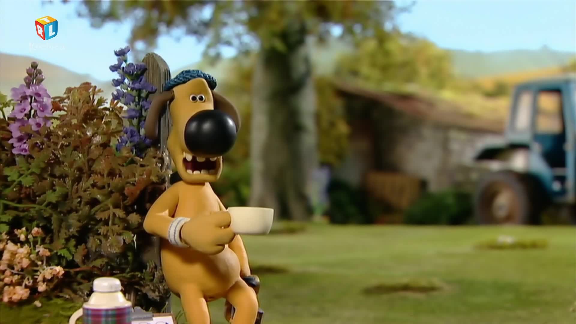 RTLKockica