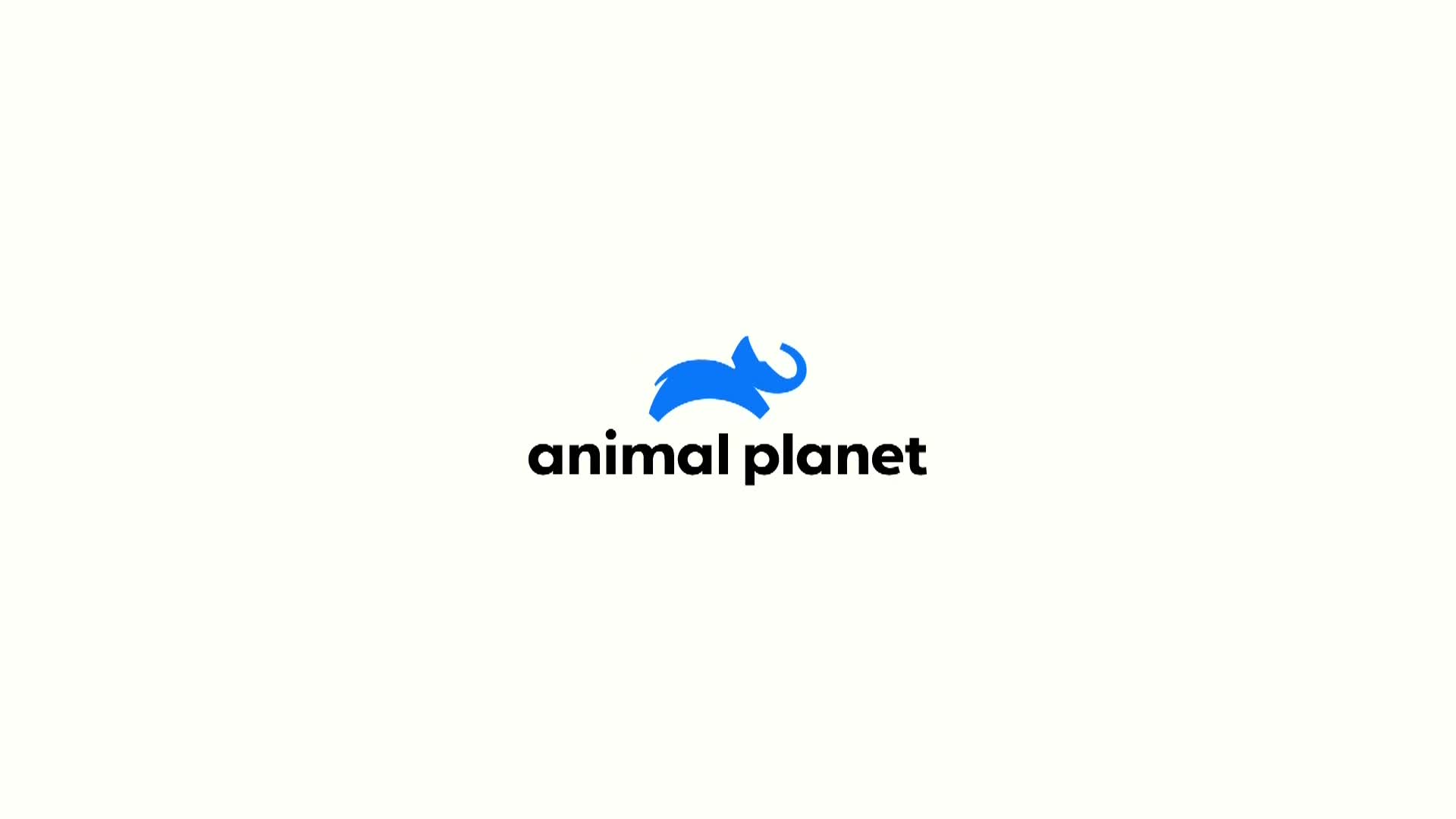 AnimalPlanet