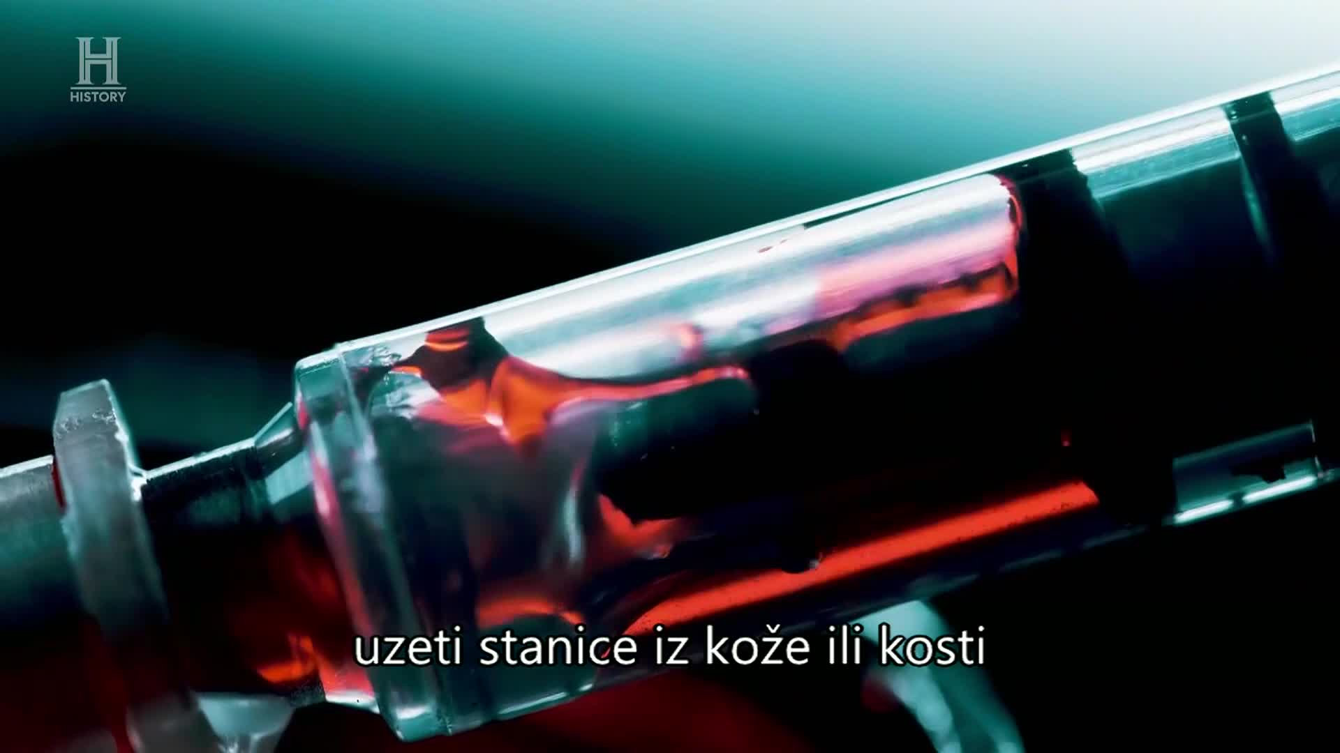 History