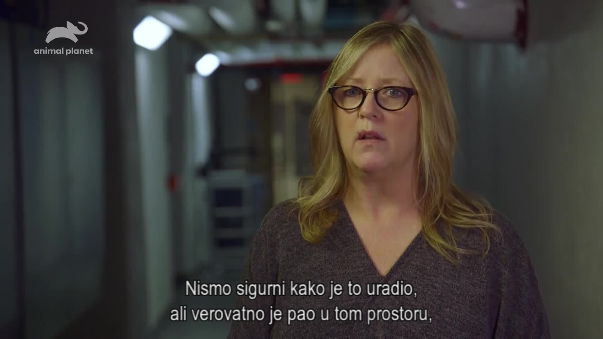 AnimalPlanet