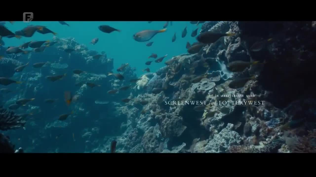 FTV
