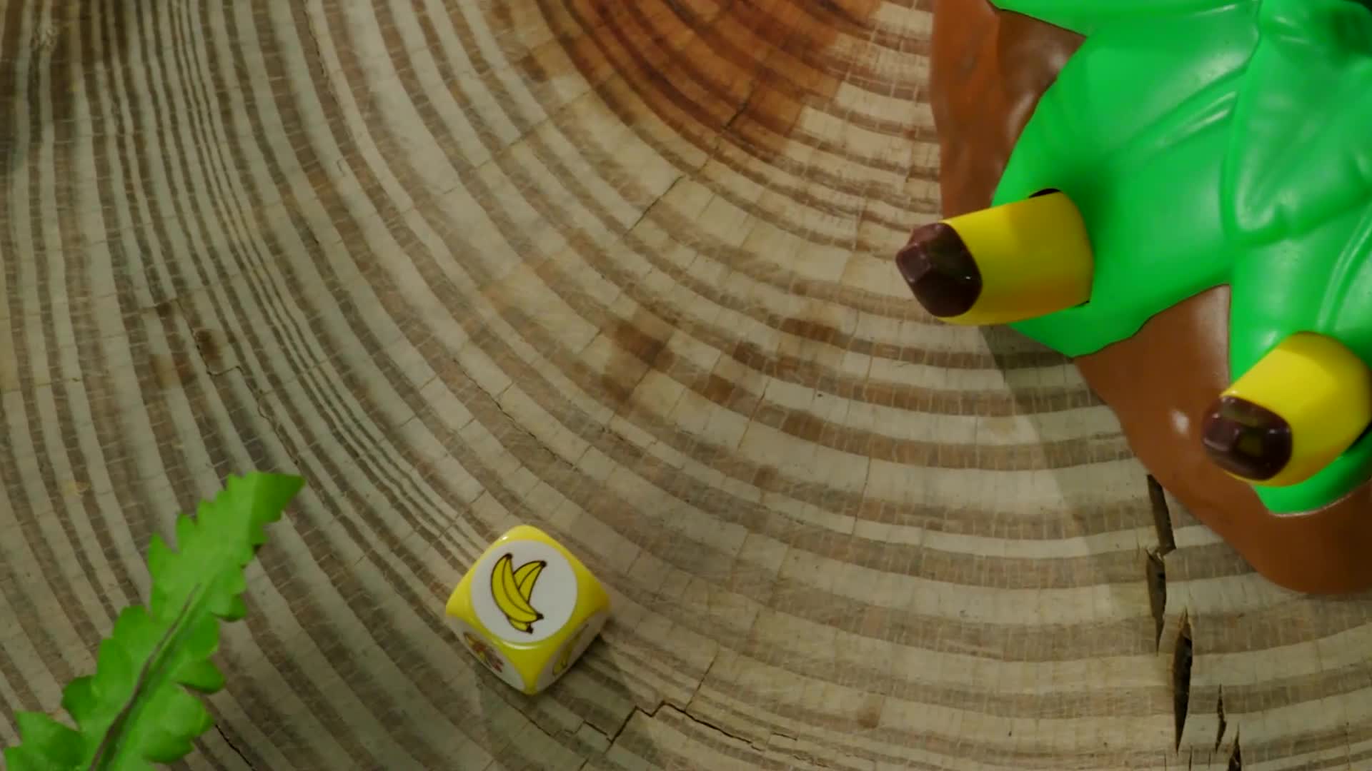 RTLKockica