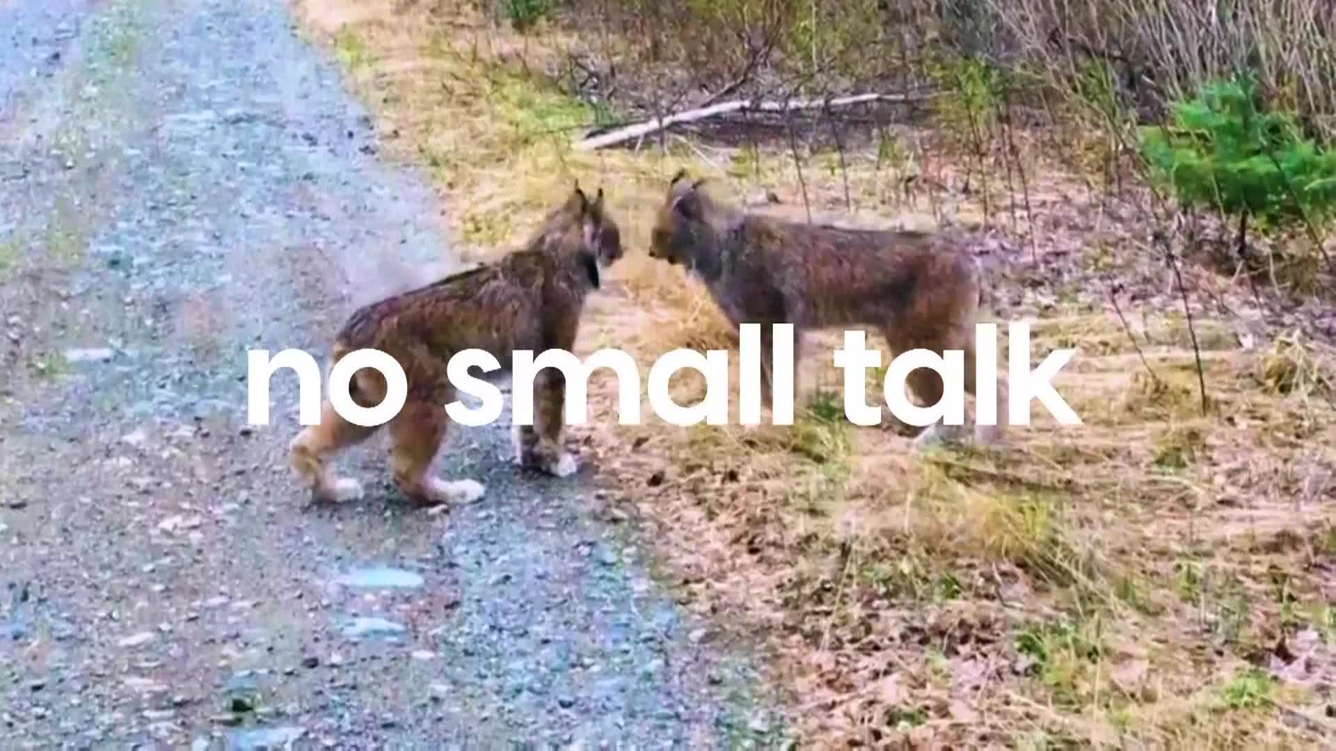 AnimalPlanet