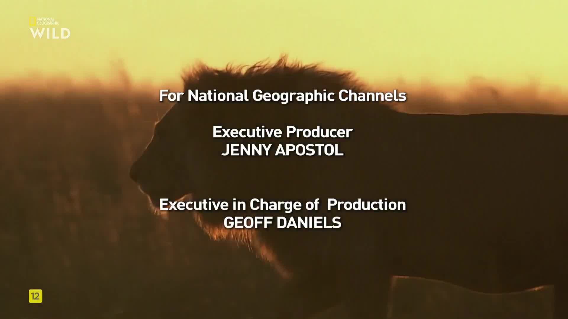 Premium9