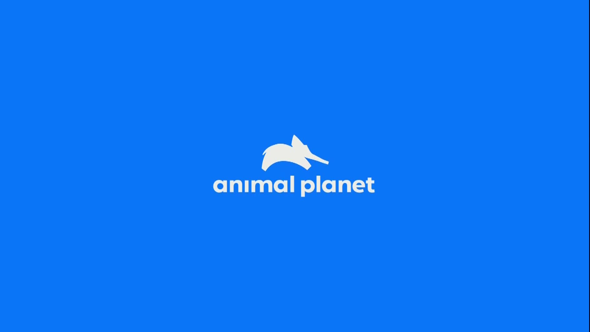 AnimalPlanet