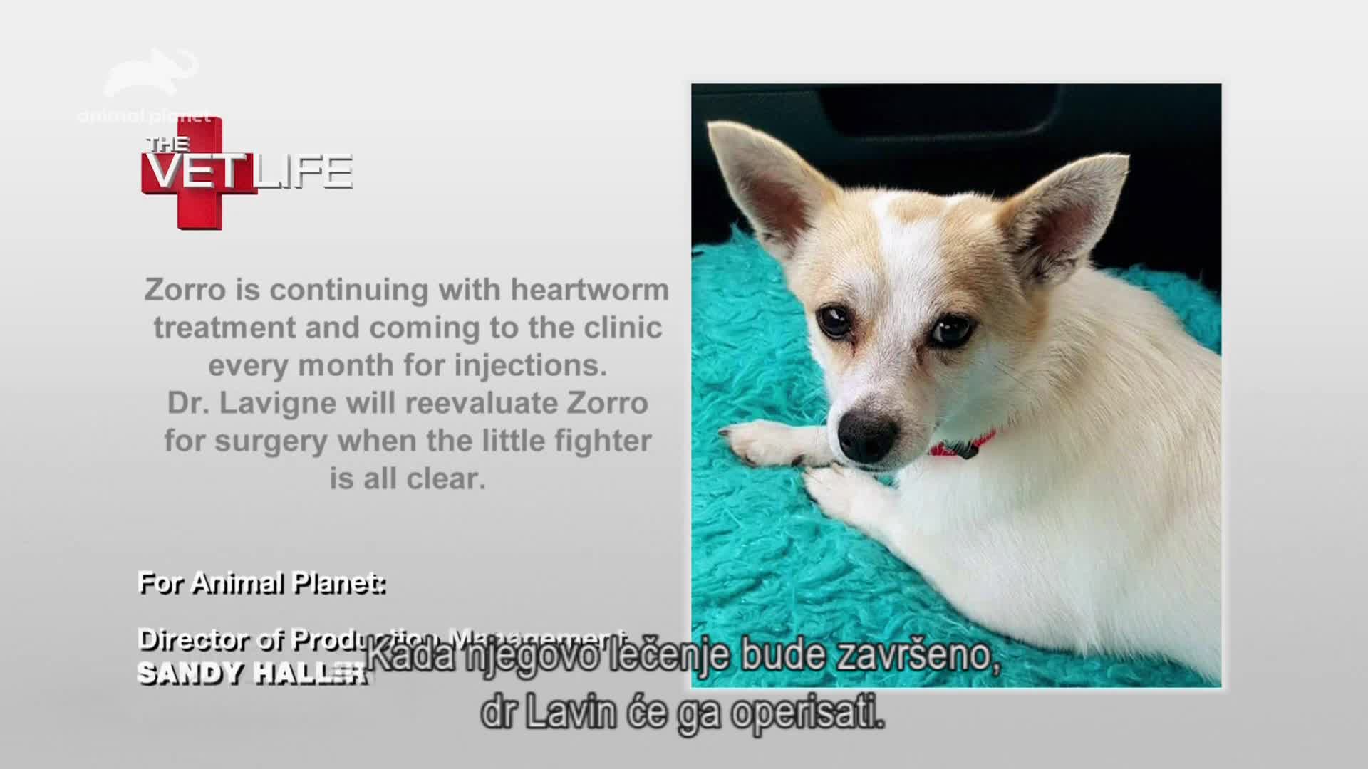AnimalPlanet
